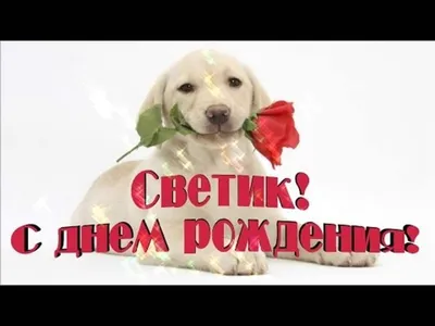 Картинка для прикольного поздравления с Днём Рождения Светлане - С любовью,  Mine-Chips.ru