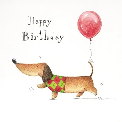 Pin en Dachshund congratulations