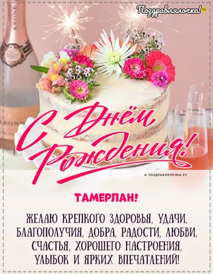 С днём рождения Тамерлан🥳 Будь всегда таким позитивным и энергичным 🧨  #вечеринка #tiktok #tiktokparty #аниматорсява #сява #аниматор… | Instagram