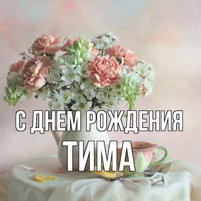 Тимофей с днем рождения | TikTok