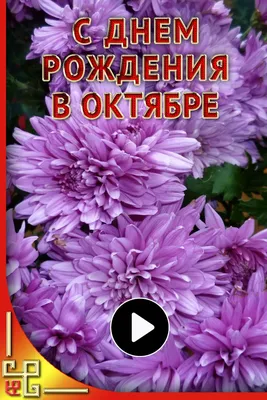 Видео поздравление с днем рождения в октябре. Открытки с днем рождения | С  днем рождения, Рождение, Открытки