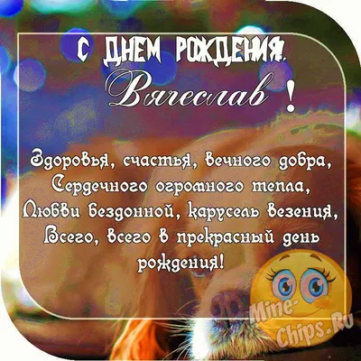 Кружка \"С днем рождения Вячеслав\", 330 мл - купить по доступным ценам в  интернет-магазине OZON (1174356078)