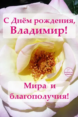 Кружка \"С днем рождения Владимир\", 330 мл - купить по доступным ценам в  интернет-магазине OZON (1174356003)