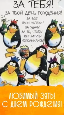 C днем рождения, зять - новые красивые открытки (86 ФОТО) в 2023 г |  Смешные пожелания на день рождения, С днем рождения, День рождения