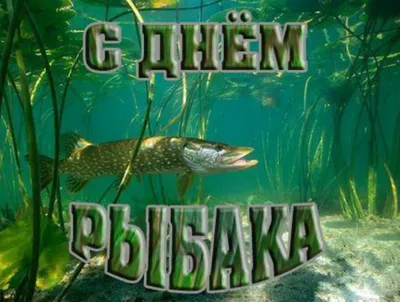 Поздравление с Днем рыбака в стихах, прозе и смс. Открытки для рыбака