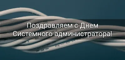 30 июля 2021 года — День системного администратора / Открытка дня / Журнал  Calend.ru