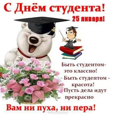 Картинки с днем студента 25 января: прикольные открытки и поздравления с  праздником - МК Новосибирск