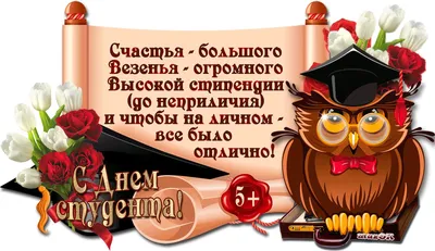 Международный день студента - смешные поздравления с днем студента в  картинках - Lifestyle 24