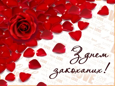 День Святого Валентина-2019: лучшие поздравления и валентинки для любимых |  Українські Новини