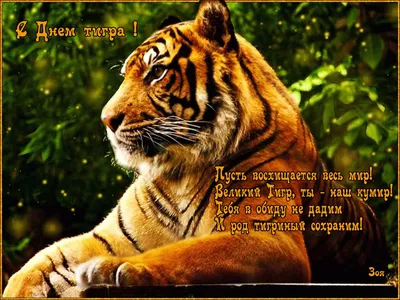 День тигра на Дальнем Востоке