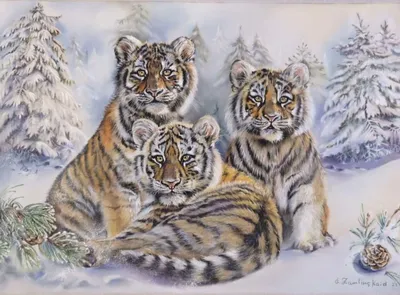 Весь мир отмечает сегодня Международный день тигров | Новости Таджикистана  ASIA-Plus
