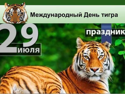 Международный день тигра Пресс-цетр Известия