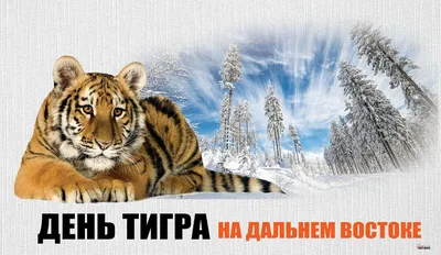 Золотой Тигр on X: \"Сегодня отмечается Международный день тигра!  Поздравляем! https://t.co/bR2vM8S58v\" / X