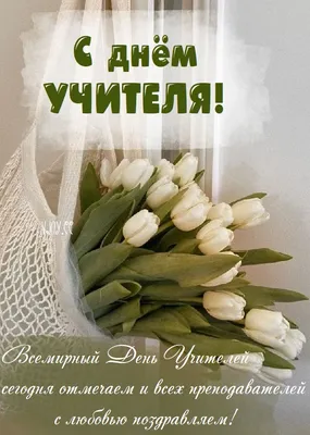 День учителя в Украине 2023 – поздравления на украинском языке и красивые  открытки поздравления
