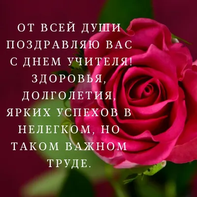 Дорогие наши учителя, позвольте пожелать вам долгих лет работы и мирного  неба! Поздравление с днем учителя от у… | Открытки для учителя, Подарки  учителю, Открытки