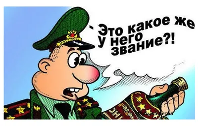 День военного пенсионера: мужественные поздравления! | Бердск-Онлайн СМИ |  Дзен