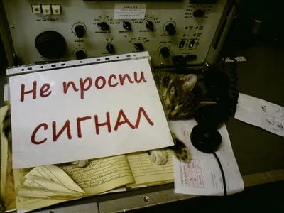 всё обо всём - День военного связиста 2020 - поздравления Каждый миг – на  грани риска! Мы спешим вас поздравлять, И сегодня, в День связиста, Будем  лучшего желать! Пусть получится скорее Своих