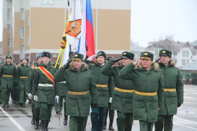 Мужественные поздравления в День войск радиационной, химической и  биологической защиты 13 ноября | Курьер.Среда | Дзен