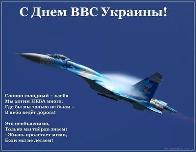 Депутаты «Единой России» поздравили с Днем ВВС РФ ветеранов и действующих  военных