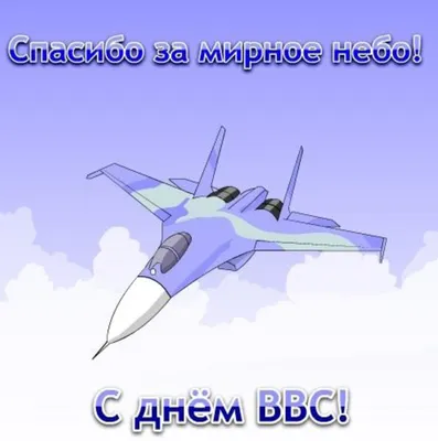 Дума Ставропольского края - 12 августа - День Военно-воздушных сил России