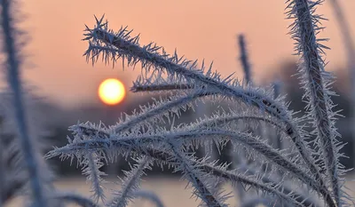 С Днем зимнего солнцестояния! / Новости / Официальный сайт администрации  Городского округа Шатура