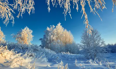 Зимнее солнцестояние - что нельзя делать 22 декабря, традиции | РБК Украина