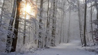 День зимнего солнцестояния: зеркальная дата, которая исполняет желания |  Алау ТВ