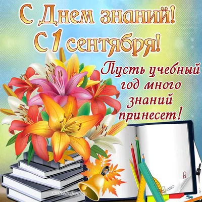 Поздравление Вячеслава Володина с Днем знаний