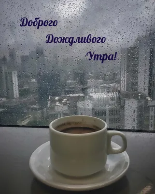позитивное поздравления с добрым дождливым утром｜Поиск в TikTok