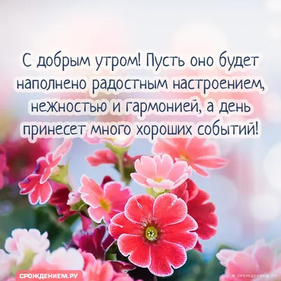 Картинка: Привет, это я! С добрым летним утром! • Аудио от Путина,  голосовые, музыкальные