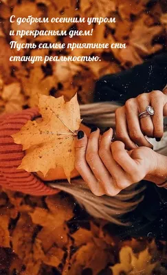 🍁С Добрым Осенним Утром!!!Доброе утро!🍂#доброеосеннееутро#сдобрымутр... |  TikTok