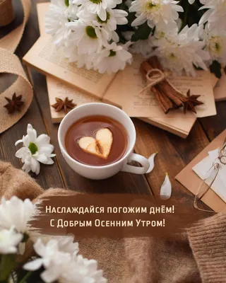 Картинка \"С Добрым осенним утром!\", с листьями клёна и трогательным  пожеланием • Аудио от Путина, голосовые, музыкальные