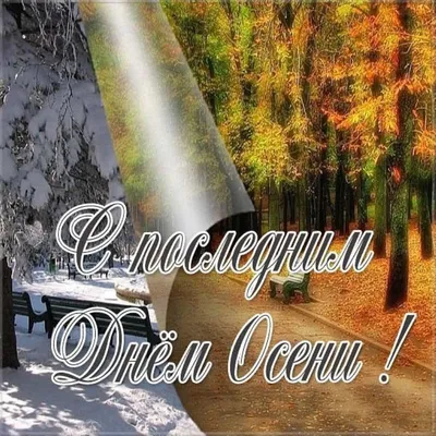 Картинка \"С Добрым осенним утром!\", с тёплыми словами • Аудио от Путина,  голосовые, музыкальные