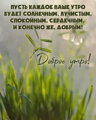 Открытки \"Доброго утра!\" летом (300+)