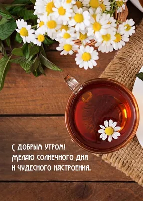 Пин от пользователя Герасимова на доске Доброе утро | Зимние картинки,  Пейзажи, Счастливые картинки