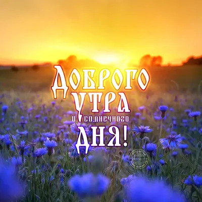 Доброго утра и солнечного дня! — Скачайте на Davno.ru