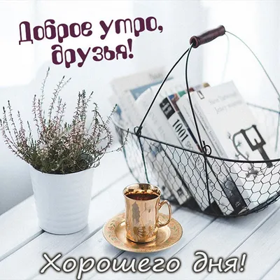 МИР Настроения - С Добрым Утром, Друзья ! Любви 💖 Всем 💖... | Facebook