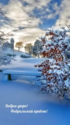 Зимнее 💗☃️💗 Утро доброе! Февраль! | Фотография юмор, Зимние цитаты,  Счастливые картинки