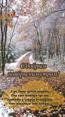 Доброе утро! | Осенний пейзаж, Пейзажи, Живописные пейзажи