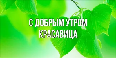 Доброе утро скачать бесплатно, страница 202