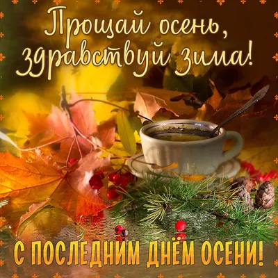 Картинки хорошего ноябрьского дня (39 фото) » Красивые картинки,  поздравления и пожелания - Lubok.club