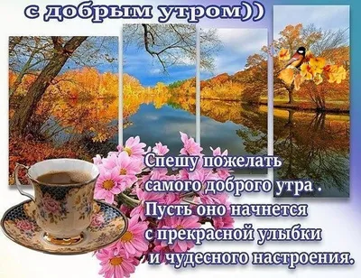Картинки Доброе Утро - красивые открытки с добрым утром