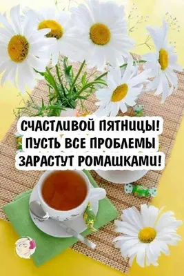 Милая открытка «Добрейшего вам утра пятницы!» • Аудио от Путина, голосовые,  музыкальные