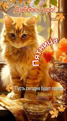 Доброе утро! Пятница. 🍁🌤️😺 в 2023 г | Доброе утро, Счастливые картинки,  Современная открытка