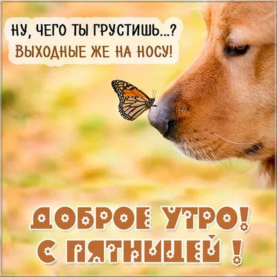 пятница #сдобрымутром 🤗Доброго утра и прекрасного дня вам друзья🌞 #... |  TikTok