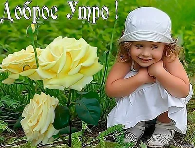 Formybaby.ru - ДОБРОЕ УТРО! Сегодня 8 июля, среда. После... | Facebook