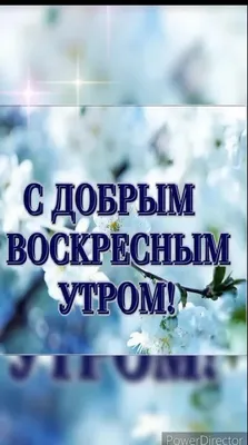 Красивые открытки с добрым воскресным утром (60 картинок) 🌟