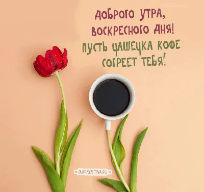 ☕️ Доброе воскресное утро! 🌸 Прочь обиды и сомненья, ворох дел ты  позабудь. - YouTube