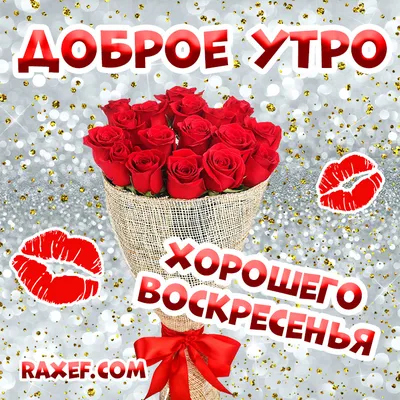 Доброе воскресное утро!!!#своскресеньем#своскреснымутром#сдобрымутромв... |  TikTok