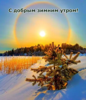 С Добрым Зимним Днем Картинки фотографии